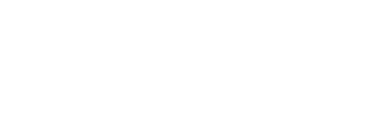 The Vet Company